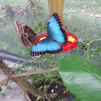 Photo taken at The Butterfly Farm by Leon L. on 8/22/2013