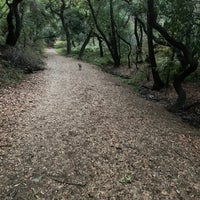 Photo taken at Leona Canyon Trail by Becky M. on 11/28/2020