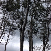 レストハウス 白樺の丘 真庭市 岡山県