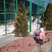 Photo taken at Samara Zoo by Дарья М. on 3/15/2017