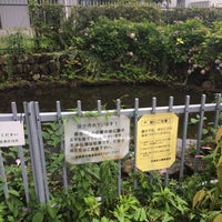 Photo taken at 中目黒南緑地公園の池 by atknktn™ on 6/19/2016