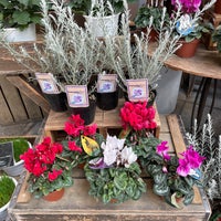 フラワーショップ京王 永福町店 生花店