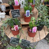 フラワーショップ京王 永福町店 Flower Shop