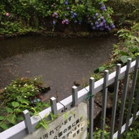 Photo taken at 中目黒南緑地公園の池 by atknktn™ on 5/29/2016