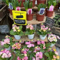フラワーショップ京王 永福町店 生花店