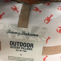 tommy bahama marshalls