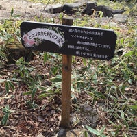 妖精の棲む滝見の丘 北杜市 山梨県 妖精の棲む滝見の丘 北杜市 山梨県
