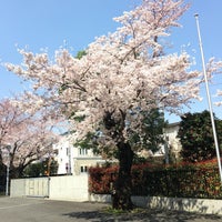 Photo taken at 東京都立芦花高等学校 by Gen on 3/31/2016