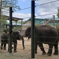 Photo taken at African elephant habitat by Deepésh on 3/29/2019