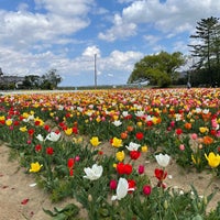 Photo taken at 和田公園 by IMAGEDRIVE on 4/11/2021