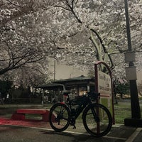 Photo taken at Shibamata Park by IMAGEDRIVE on 3/25/2023