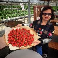 ストロベリーフィールズ 筑紫野いちご いちじく農園 Farm In 筑紫野市 ストロベリーフィールズ 筑紫野いちご いちじく農園 Farm In 筑紫野市