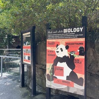 Photo taken at Panda Exhibit by Shamllany on 7/30/2022