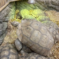 Das Foto wurde bei The Reptile Zoo von Kim H. am 1/7/2024 aufgenommen