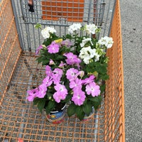 Photo taken at The Home Depot by Mich on 5/7/2016