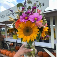 Photo taken at Pattys Berries and Bunches by Des on 10/17/2022