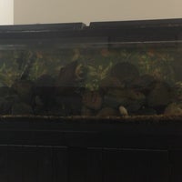 Frederick Mall Shopping Mall In Kitchener