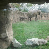 Photo taken at Elephants by Raven C. on 10/1/2012