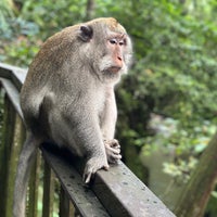 Photo taken at Sacred Monkey Forest Sanctuary by Karen H. on 5/4/2024
