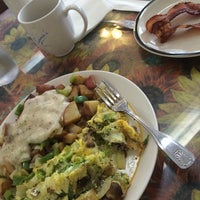 kimmies coffee cup cypress