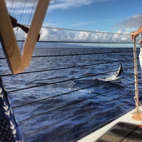 10/30/2013にAimee P.がGemini Sailing Chartersで撮った写真