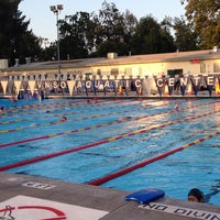 Van Nuys Sherman Oaks Pool Pool In Sherman Oaks