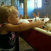 Critter Barn 3 Tips From 208 Visitors