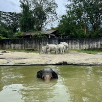 Photo taken at Zoo Taiping &amp;amp; Night Safari by  Fitry CA  on 11/18/2023
