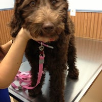Adpark pet sale clinic