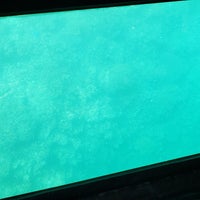 竹富島グラスボート 竹富
