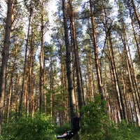 Photo taken at Северный лес by Елена on 5/31/2017