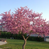 Photo taken at Röne Park by Serkan G. on 5/5/2013