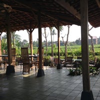 Villa Dan Warung Sawah Gondang Legi Sleman Di Yogyakarta