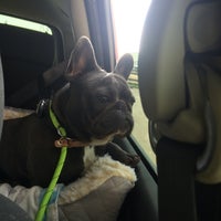 vca animal hospital bradshaw