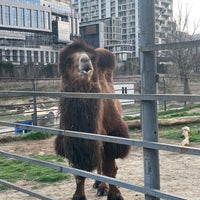 Photo taken at Tbilisi Zoo | თბილისის ზოოპარკი by Nino G. on 3/12/2023