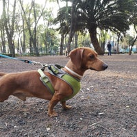 Photo taken at Parque para perros - Parque de los Venados by Caminαλεχ 🚶 on 2/16/2019