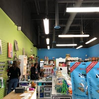 Two bostons sales pet boutique