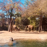 Photo taken at Fort Worth Zoo by Young Joo L. on 10/12/2022