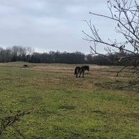 Photo taken at Bank Heide Renesse by Brian P. on 1/5/2020