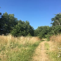 Photo taken at Putney Common by Natalie M. on 6/30/2018