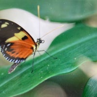 Photo taken at Butterfly Kaleidoscope Exhibit by Matt Spudart M. on 7/29/2023