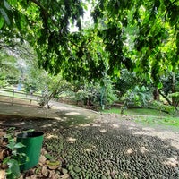 Photo taken at Bogor Botanical Gardens by rowiya on 4/28/2024