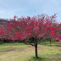 Photo taken at Momoi Harappa Park by Toshihiko S. on 4/6/2024