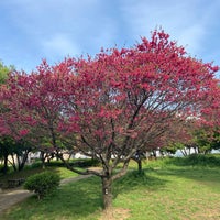 Photo taken at Momoi Harappa Park by Toshihiko S. on 4/19/2024