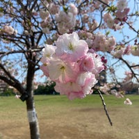 Photo taken at Momoi Harappa Park by Toshihiko S. on 4/13/2024