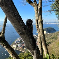 Photo taken at Morro da Urca by Steven A. on 8/18/2023