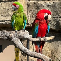 Photo taken at San Antonio Zoo by Corrina J. on 1/21/2023