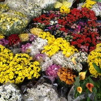 Floricultura Uriel Flower Shop
