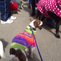 Photo taken at Beggin&amp;#39; Pet Parade by Perry D. on 2/23/2014