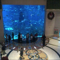 chambers aquarium lost